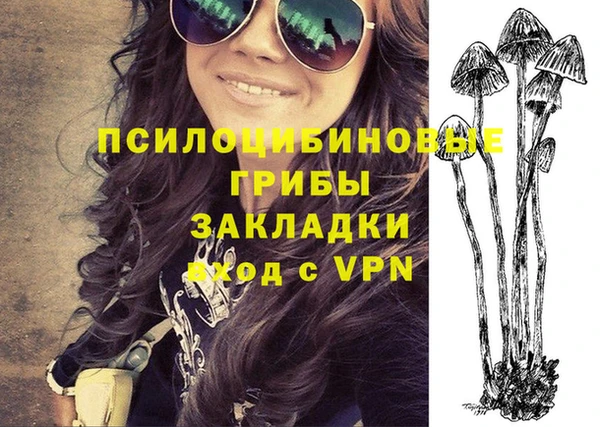 прущие крисы Абинск