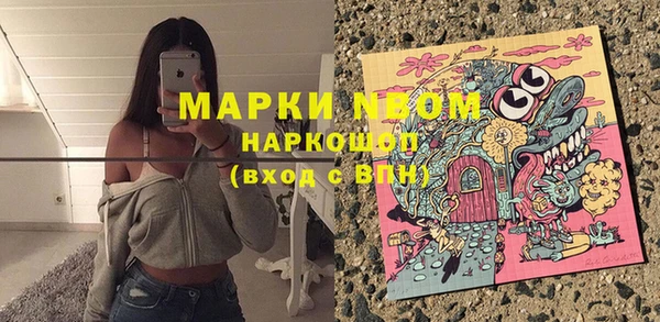 дурь Алексин
