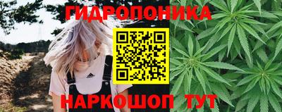 МДПВ Заволжье
