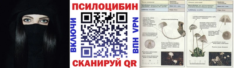 Галлюциногенные грибы мицелий  хочу наркоту  Кумертау 