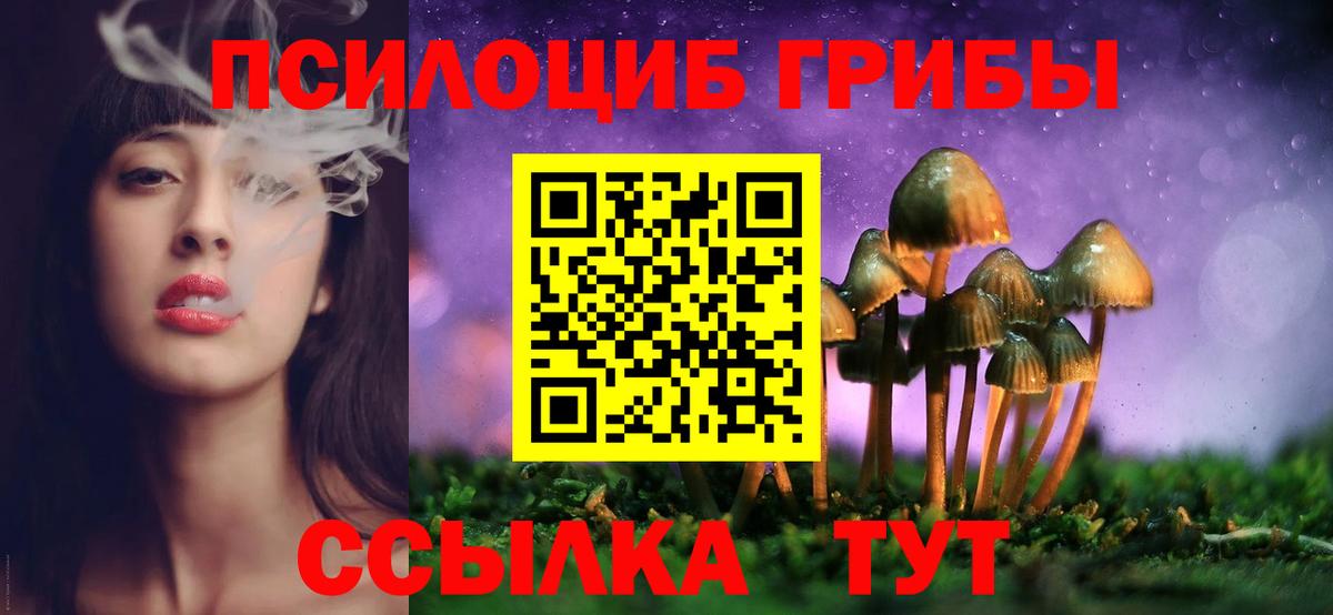 Кумертау  Галлюциногенные грибы Psilocybe  Вход с VPN 